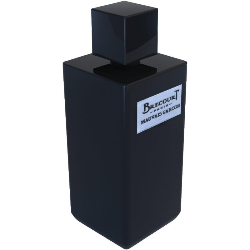 Brecourt Mauvais Garcon Eau De Perfume For Unisex, 100 Ml